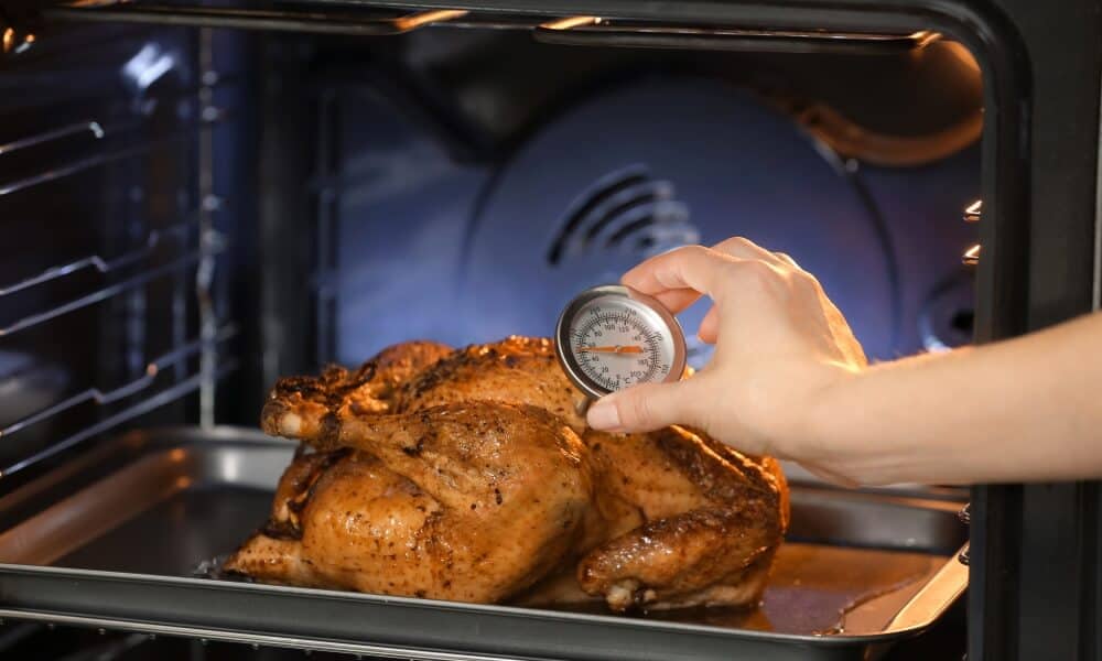 Recording the temperature of turkey being cooked