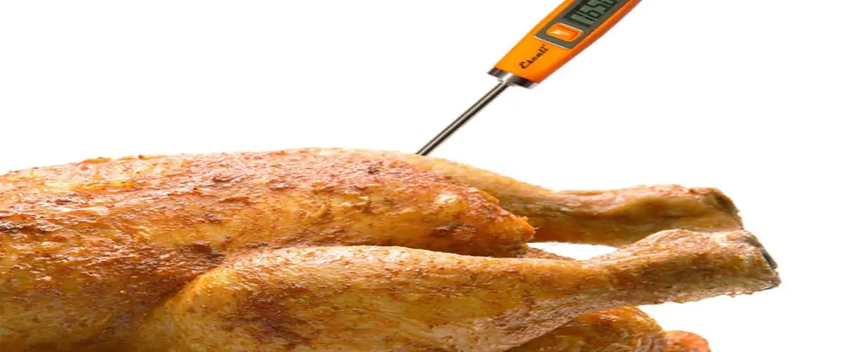 where to insert a meat thermometer in a turkey