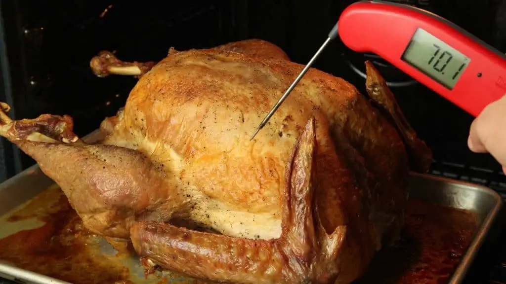 where to insert a meat thermometer in a turkey